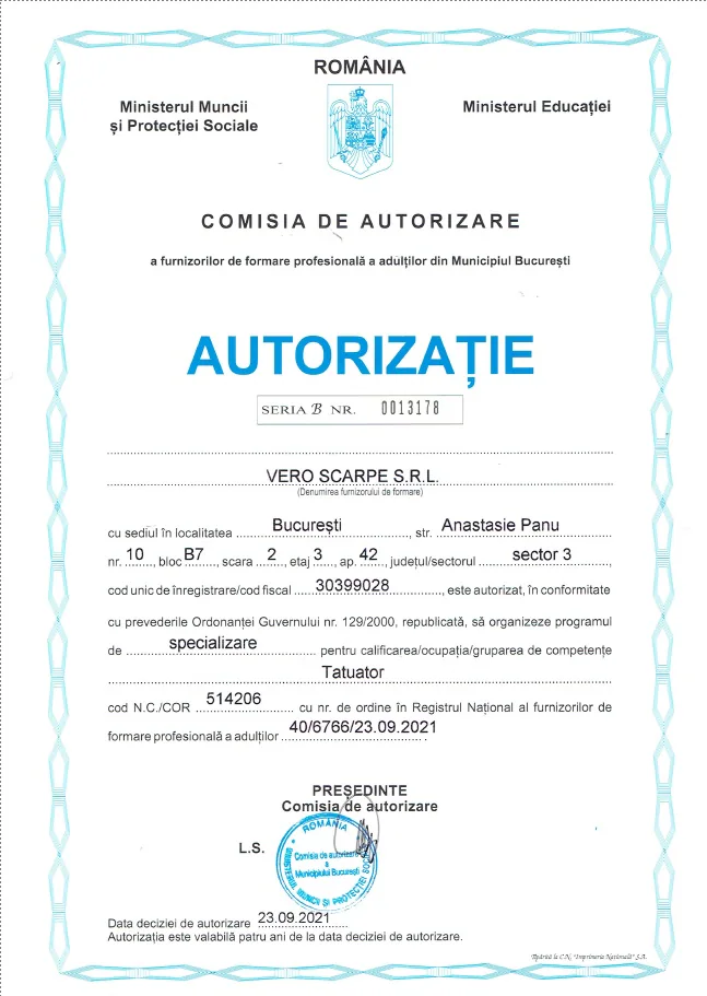 Tattoo Artist qualification authorisation