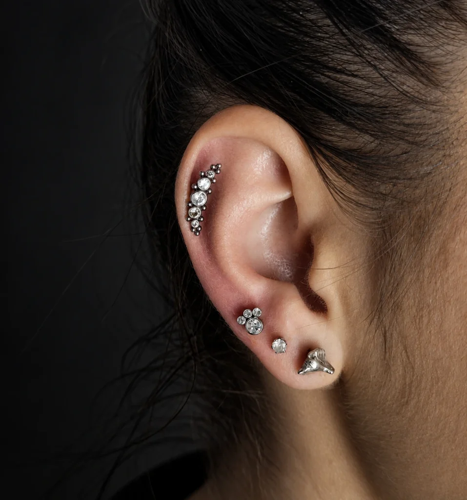 Piercing by Gabi — portfolio detail
