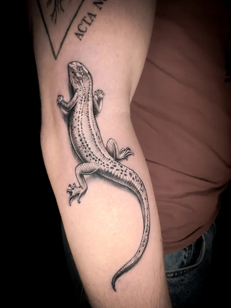 Badass Tattoo — fotografie de portofoliu 520